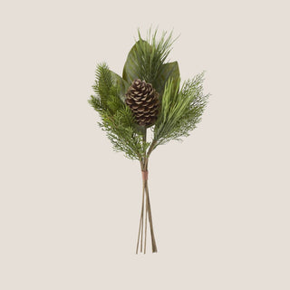 Bouquet of greenery with a pine cone on a beige background