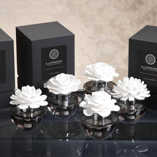 White porcelain flower diffusers in gray glass vessels arranged with black fragrance boxes on a reflective black surface.