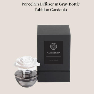 Tahitian Gardenia porcelain flower diffuser in a gray glass vessel beside its black fragrance presentation box.