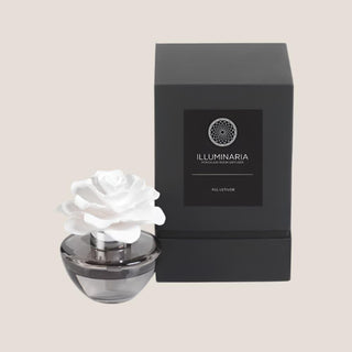 White porcelain flower diffuser in a rounded smoke glass bottle beside a black Fig Vetiver presentation box.