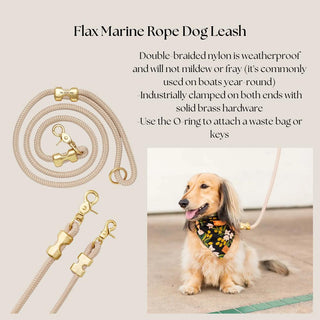 Flax double-braided marine-rope dog leash with solid brass hardware shown in detail and worn by a small dog.