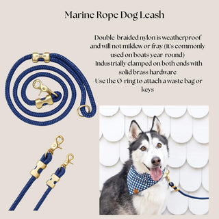 Marine-blue double-braided rope dog leash with solid brass hardware shown in detail and worn by a husky.