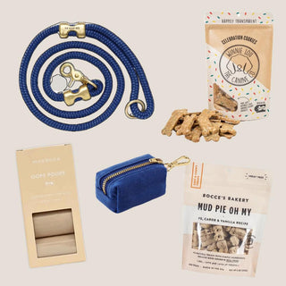 Marine-blue rope leash, matching canvas dispenser, compostable waste bags and gourmet dog treats arranged on a neutral background.