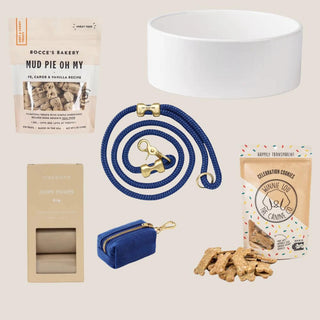 Flat lay of the Marine Blue Puppy Love collection with blue rope leash, matching dispenser, white bowl, waste bags, and dog treats.