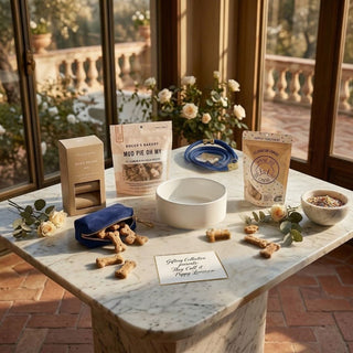 Marine-blue Deluxe Puppy Love dog gift arranged on a marble table with rope leash, ceramic bowl, dispenser, waste bags, and treats.