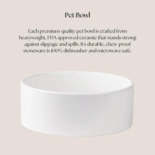 White weighted ceramic dog bowl with matte exterior and glossy interior, sized to hold approximately four cups.